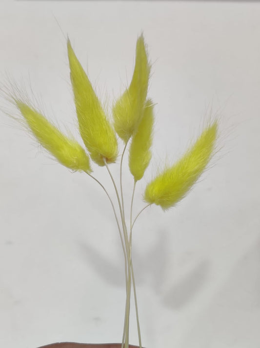 Bunny Tails yellow colour Pack of 5