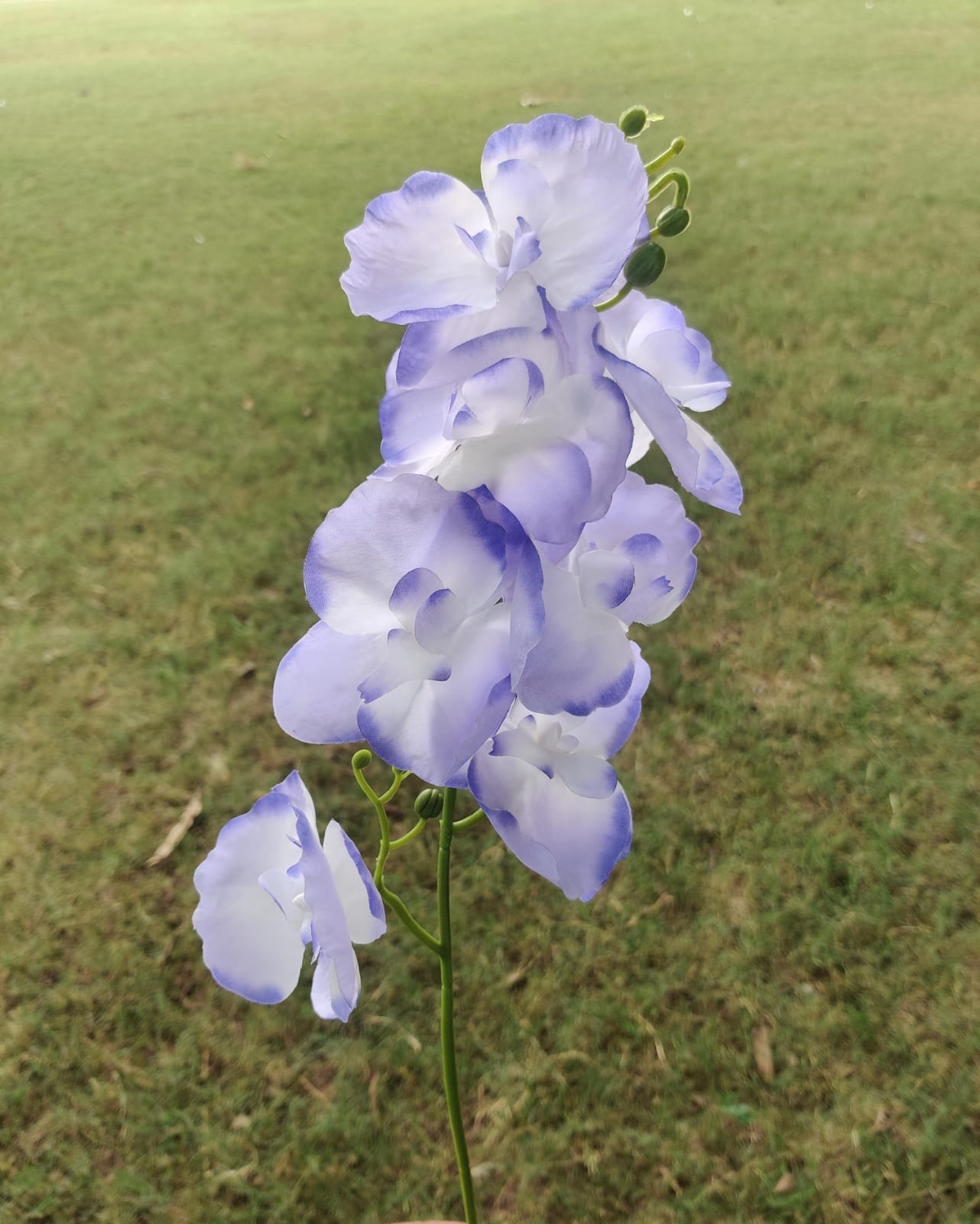 Orchid Artificial Flower