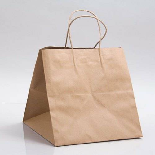 1 Pound Paper bags9.5*9.5*9.5 (Pack of 10)