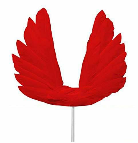 Red Feather 10 Inch