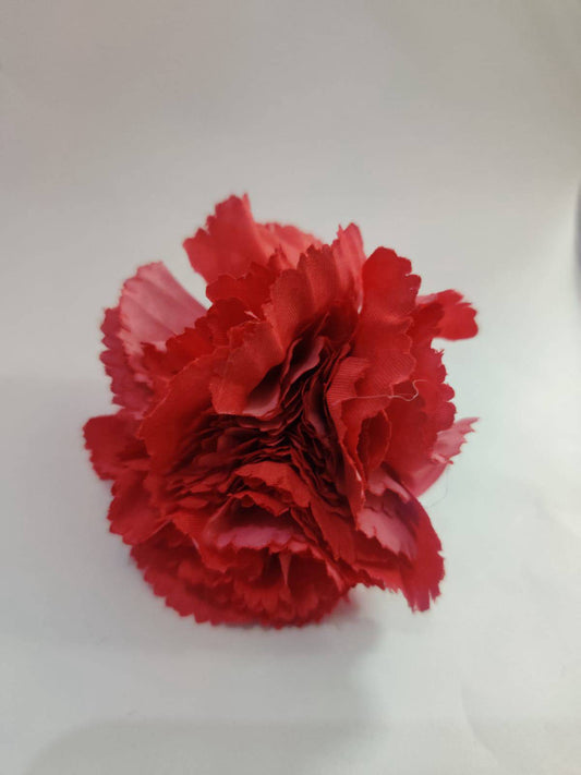 Big size Carnation Flowers
Red