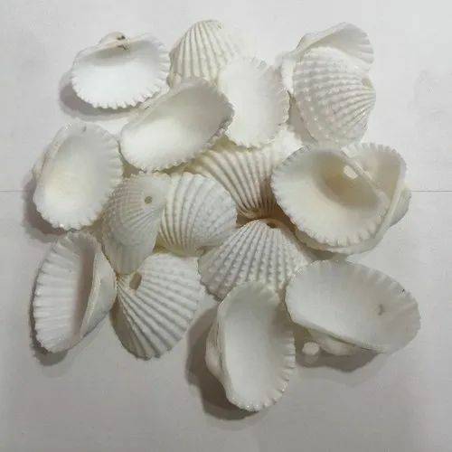 Shell for resin