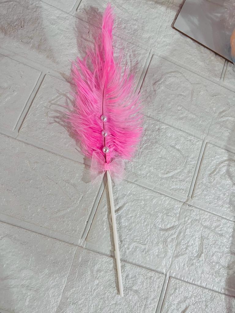 Ostrich feathers Pink