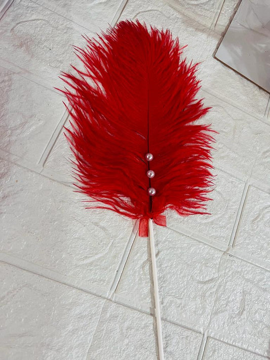 Ostrich feather Red