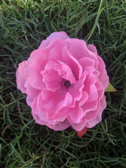 Artificial Flower (Random Colour )