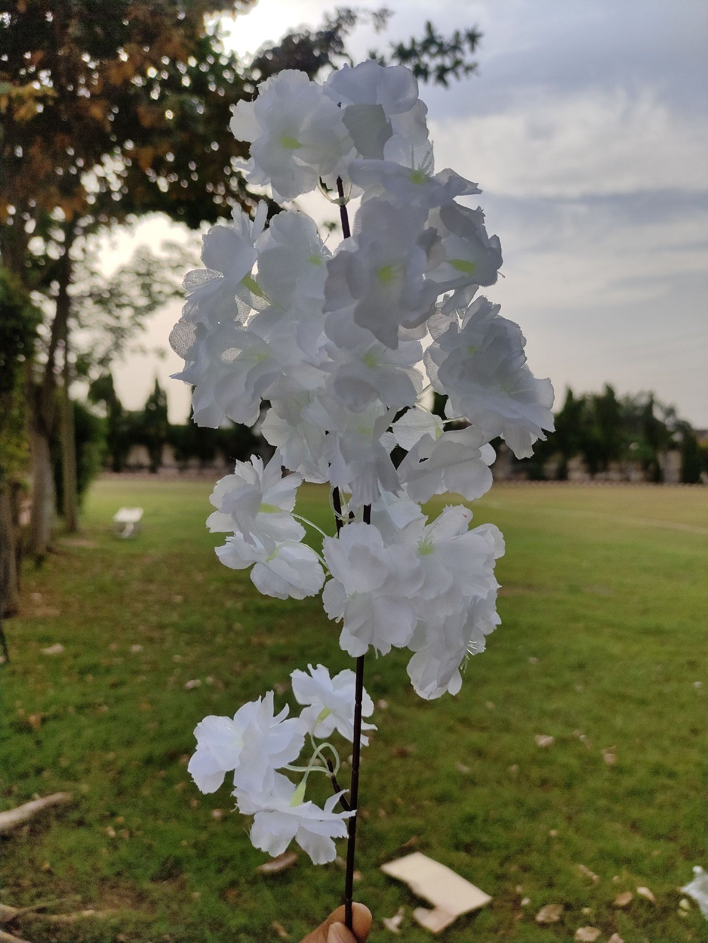 Cherry blossom (White) ( 30 Flower in one set  )