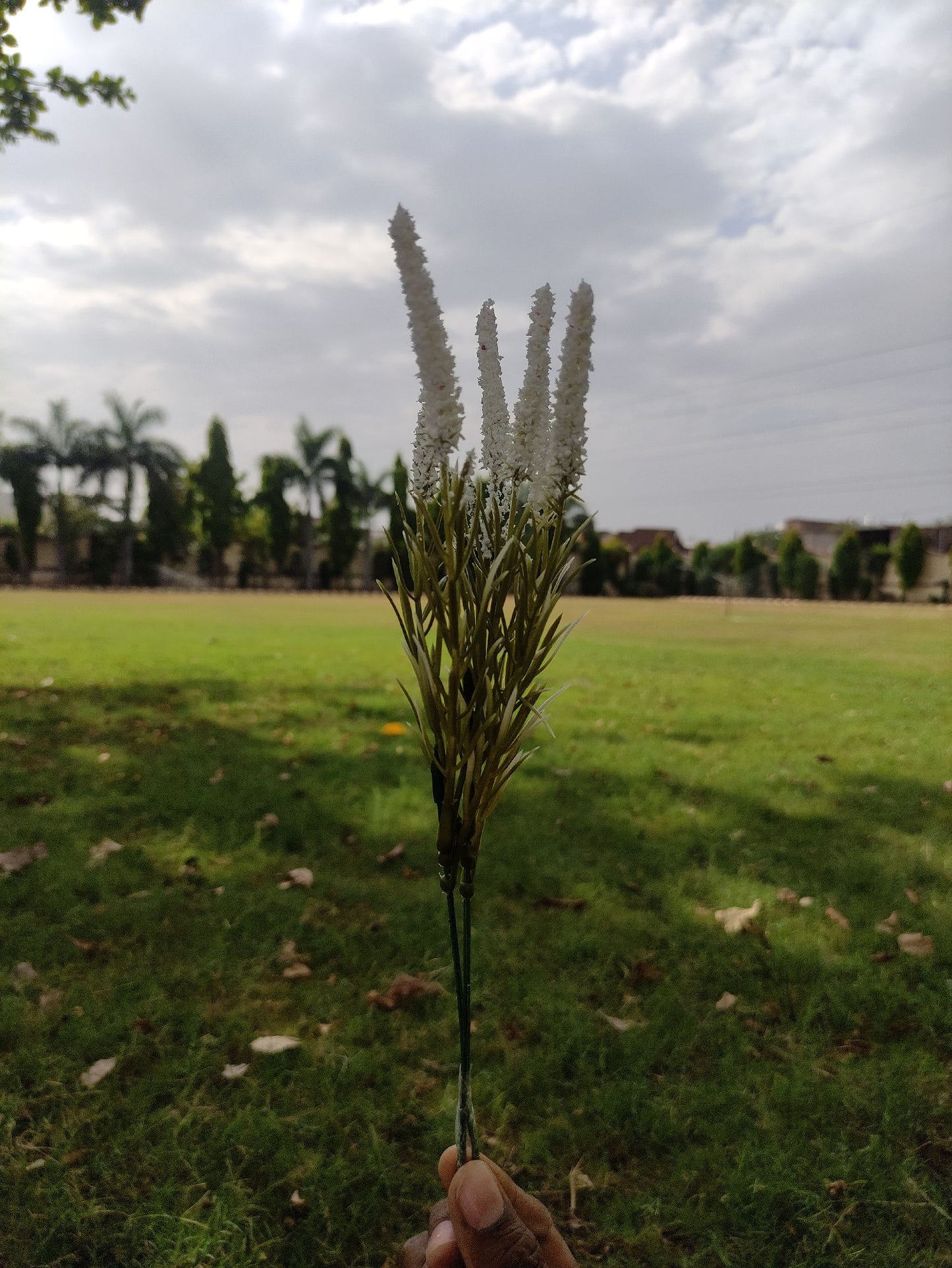 artificial White Liriope Grass