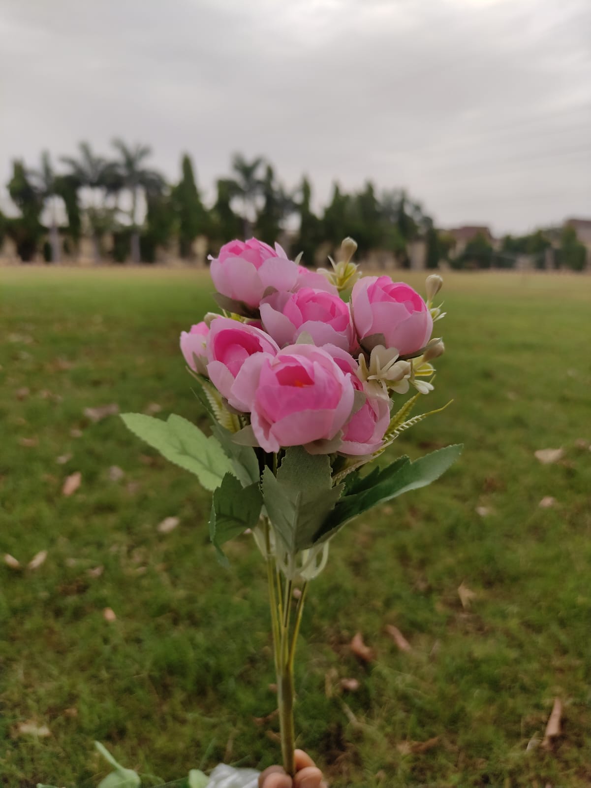 small Rose Flower Bouquet (11 Flower in One Bouquet)