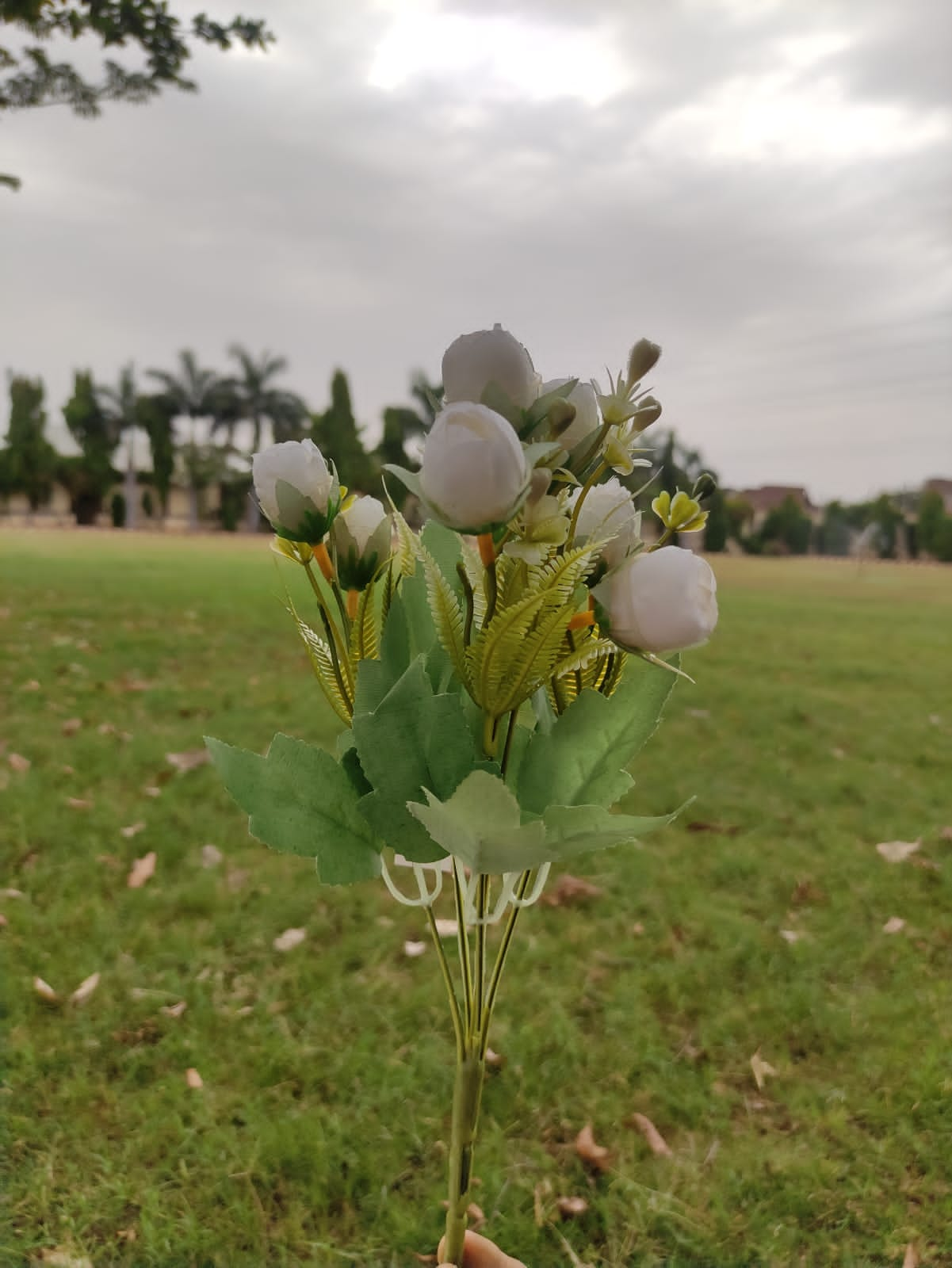 small Rose Flower Bouquet (11 Flower in One Bouquet)