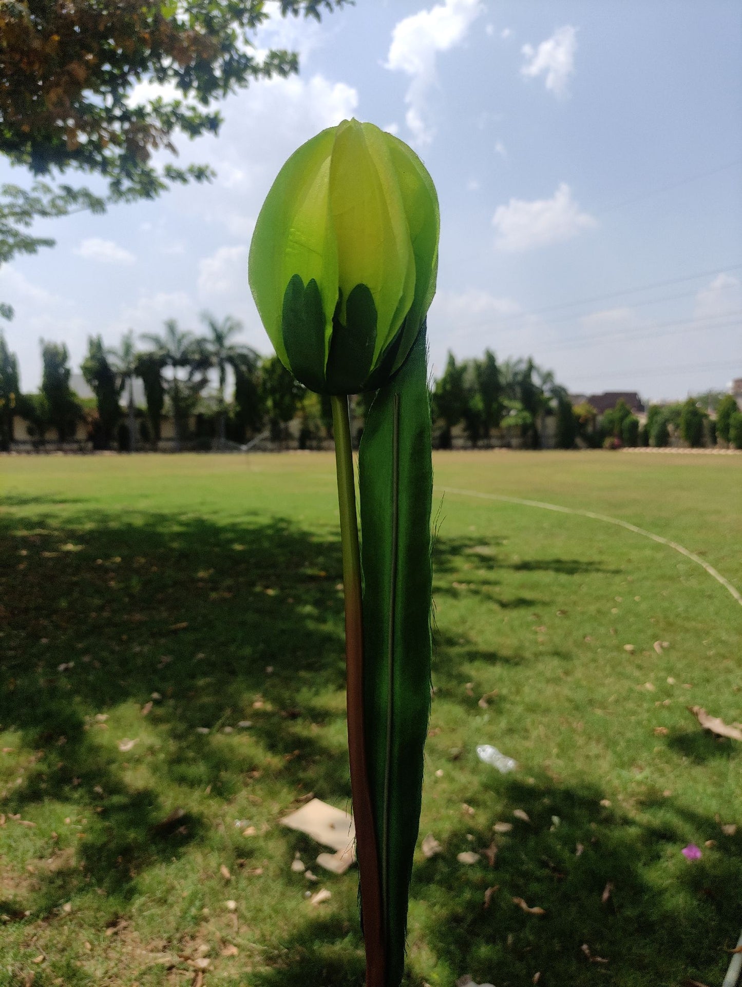 Artificial Tulip Flower