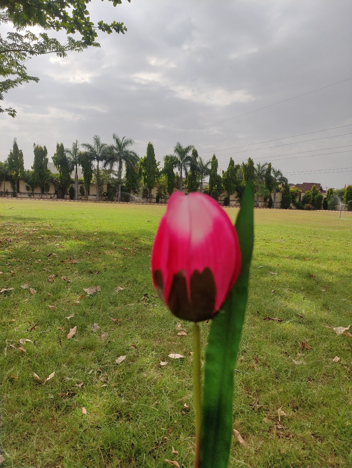 artificial Tulip Flower